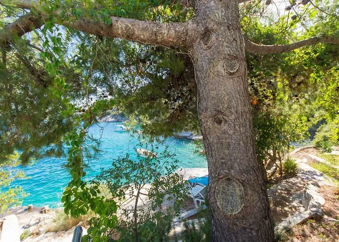 Daire Marinana Ražanj